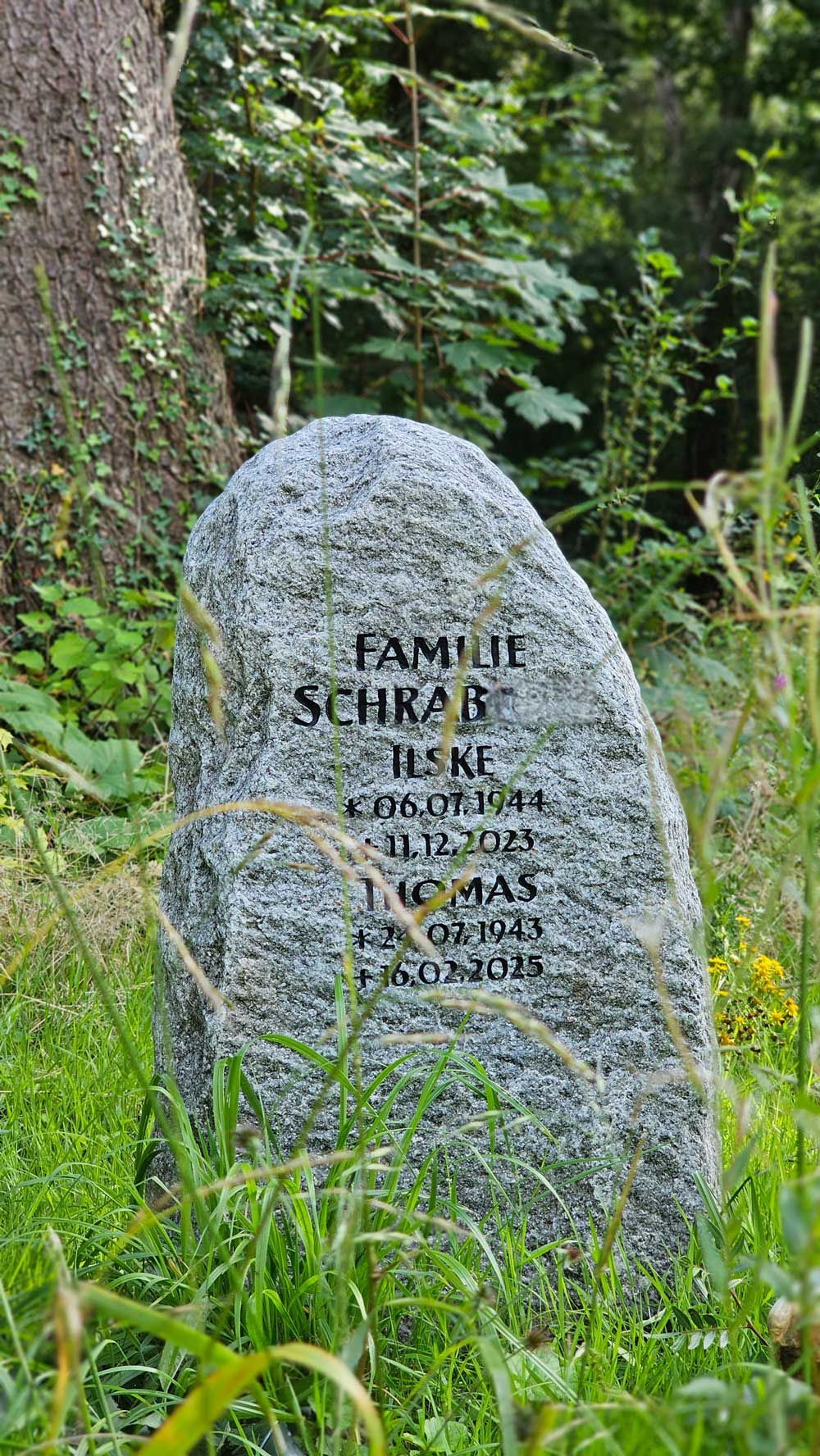 Granitgrabstein im Gras mit eingraviertem Text: Familie Schrag, Ilse, Thomas, Geburts- und Sterbedaten.