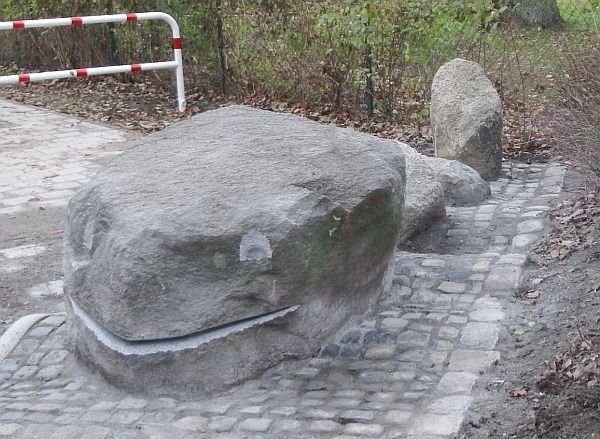 Steinerne Walskulptur auf einem gepflasterten Gehweg neben einem Pfad und einer Absperrung in einer Parkanlage.