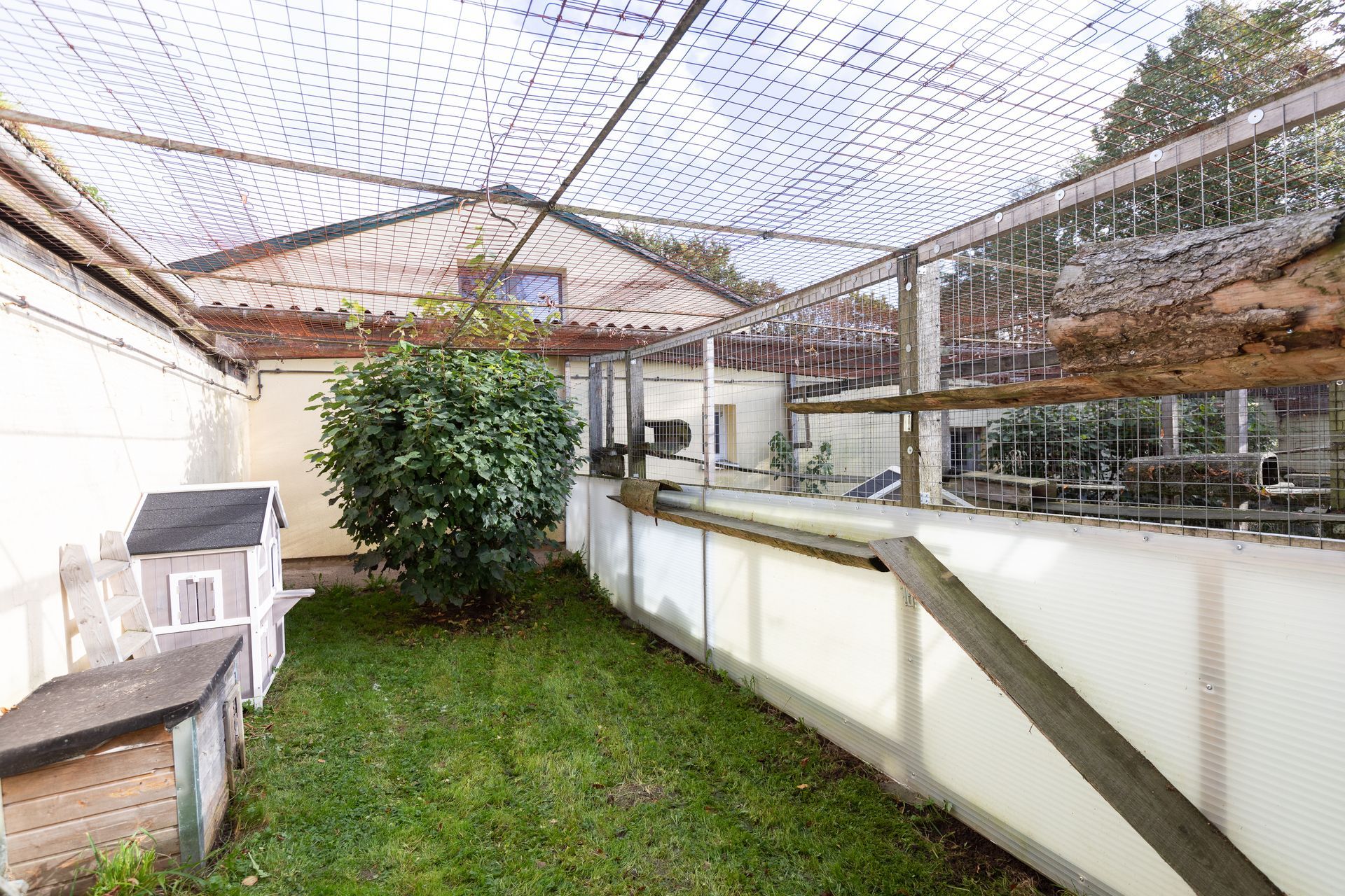 Hunde- und Katzenparadies Winzer in Süderbrarup Leistungen 14