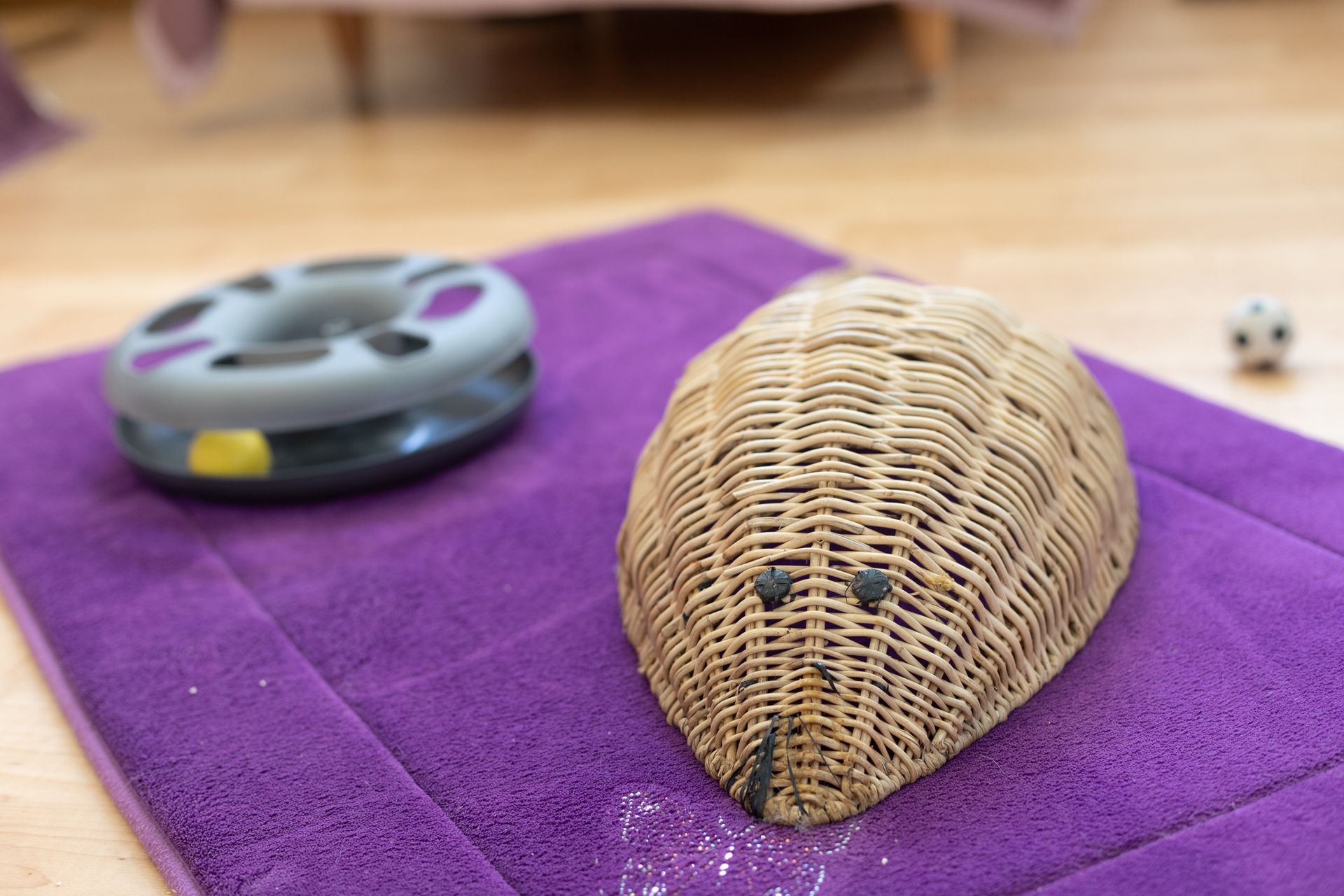 Hunde- und Katzenparadies Winzer in Süderbrarup Leistungen 12