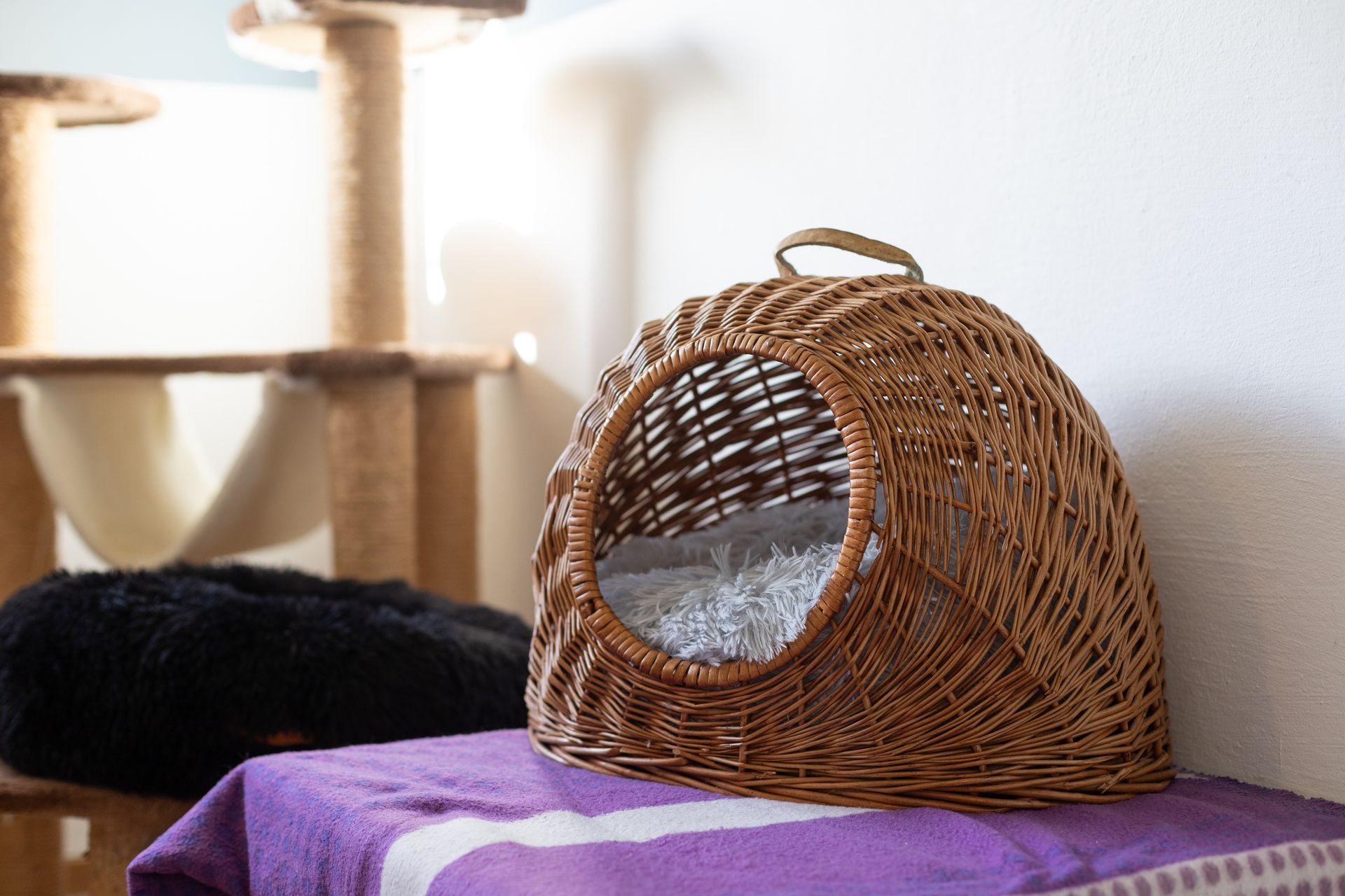 Hunde- und Katzenparadies Winzer in Süderbrarup Leistungen 11