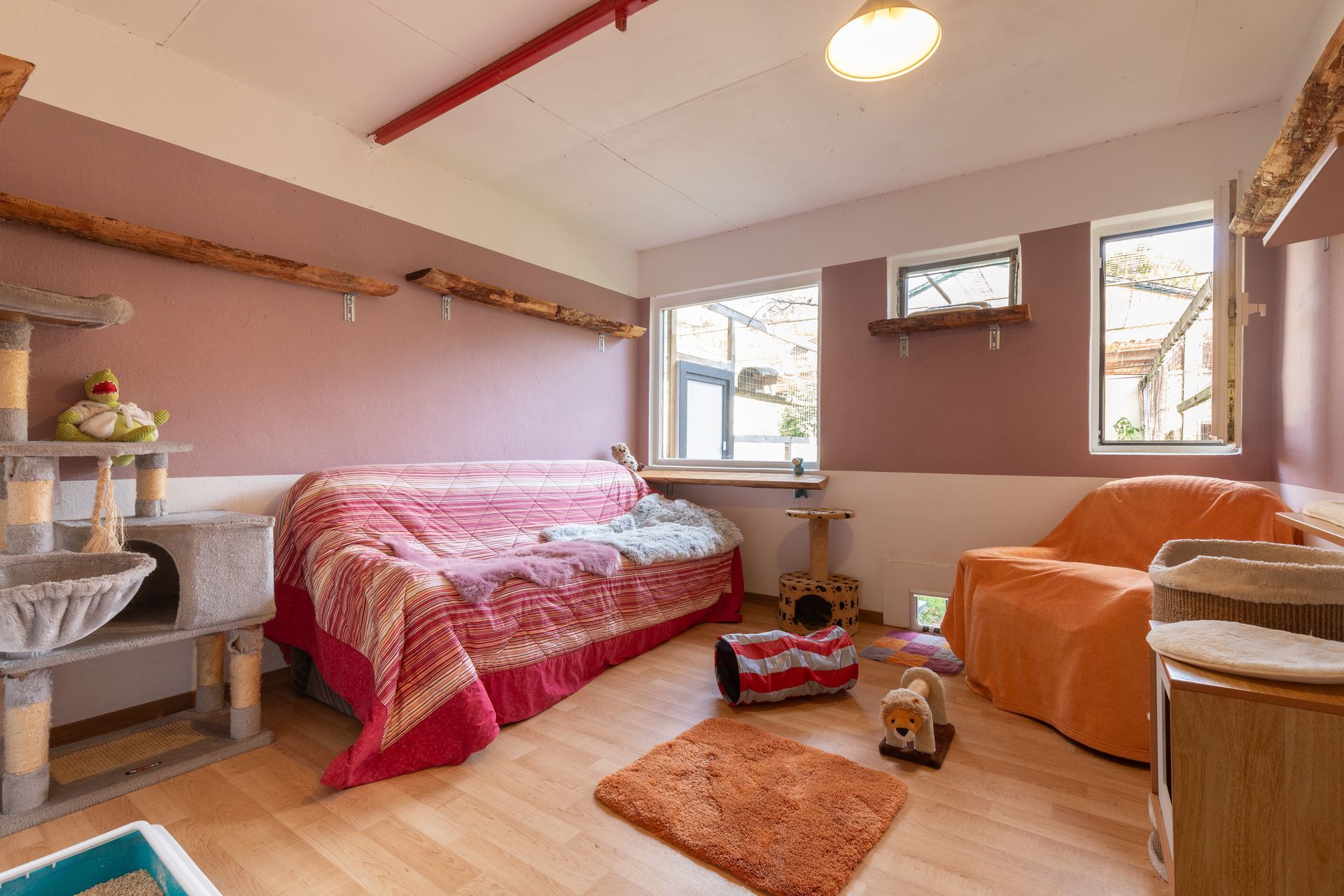 Hunde- und Katzenparadies Winzer in Süderbrarup Leistungen 10