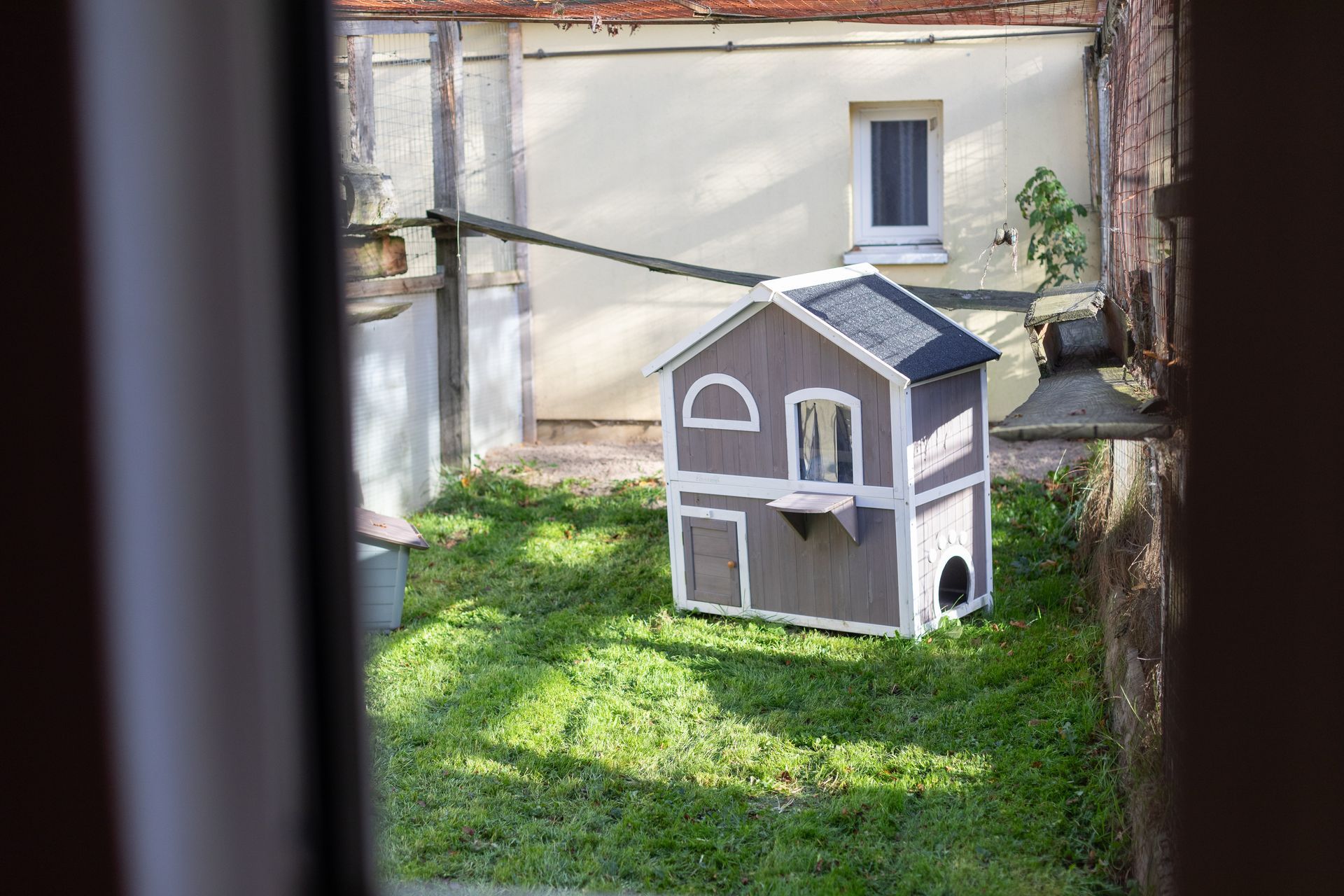 Hunde- und Katzenparadies Winzer in Süderbrarup Leistungen 09