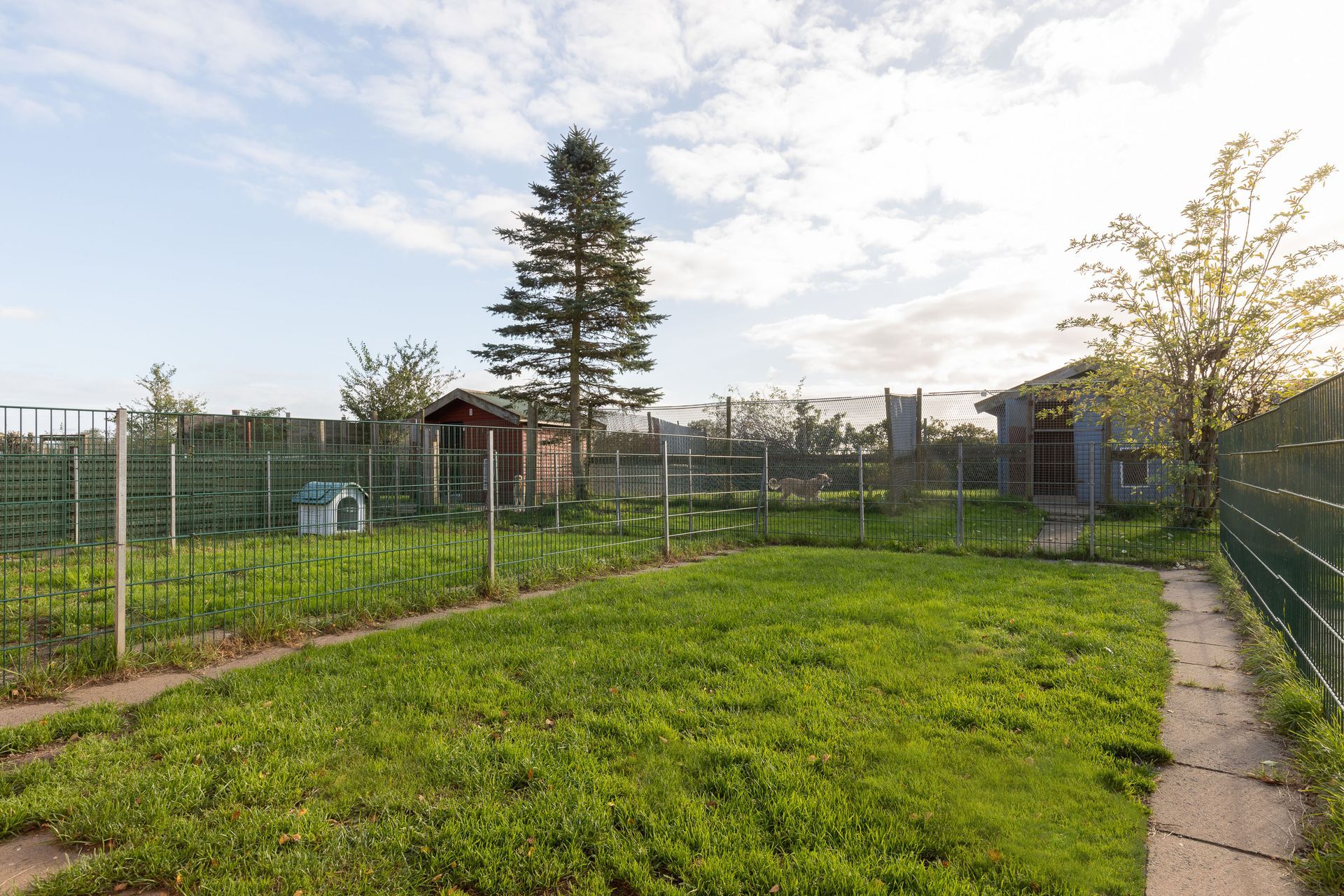 Hunde- und Katzenparadies Winzer in Süderbrarup Leistungen 19