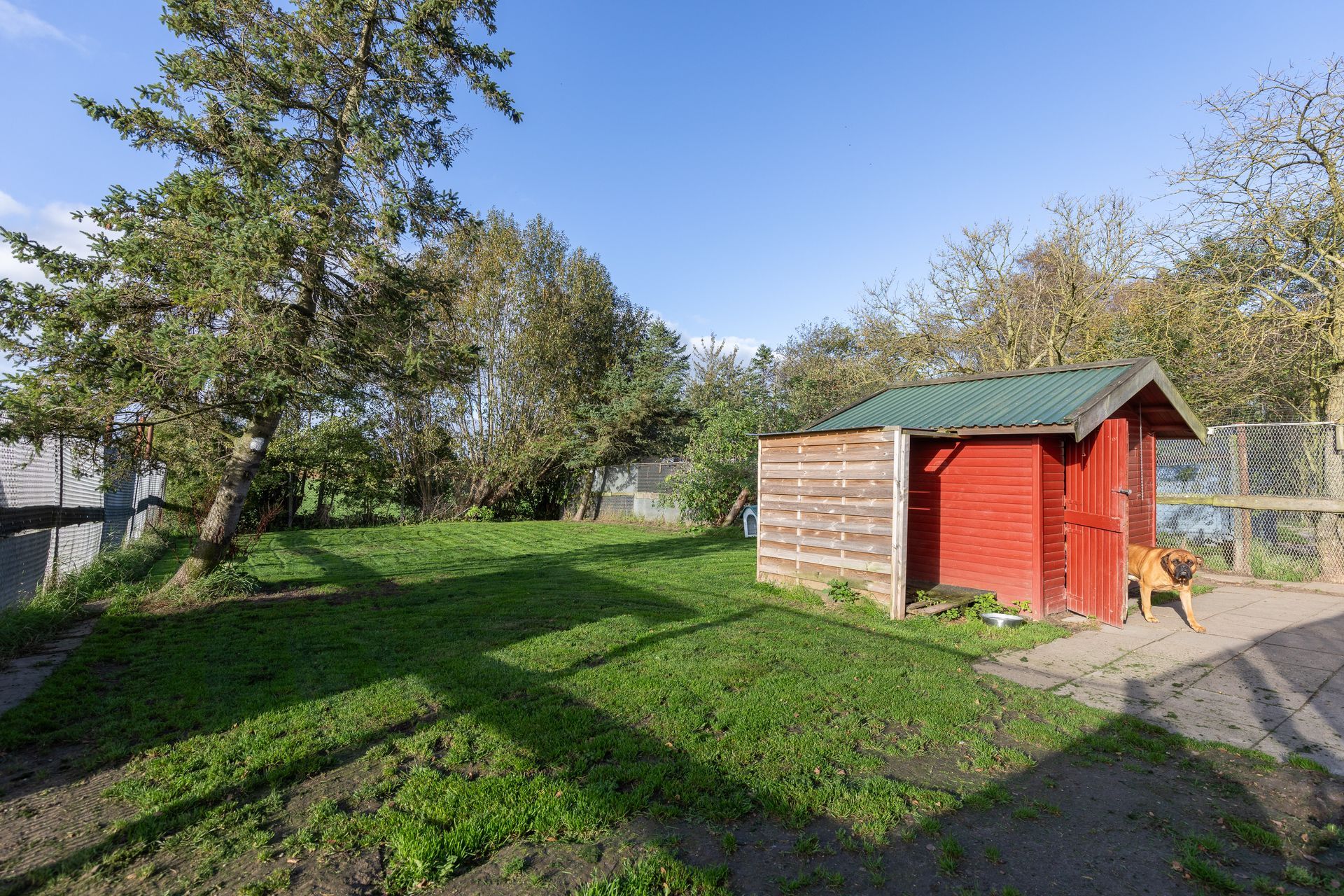 Hunde- und Katzenparadies Winzer in Süderbrarup Leistungen 05