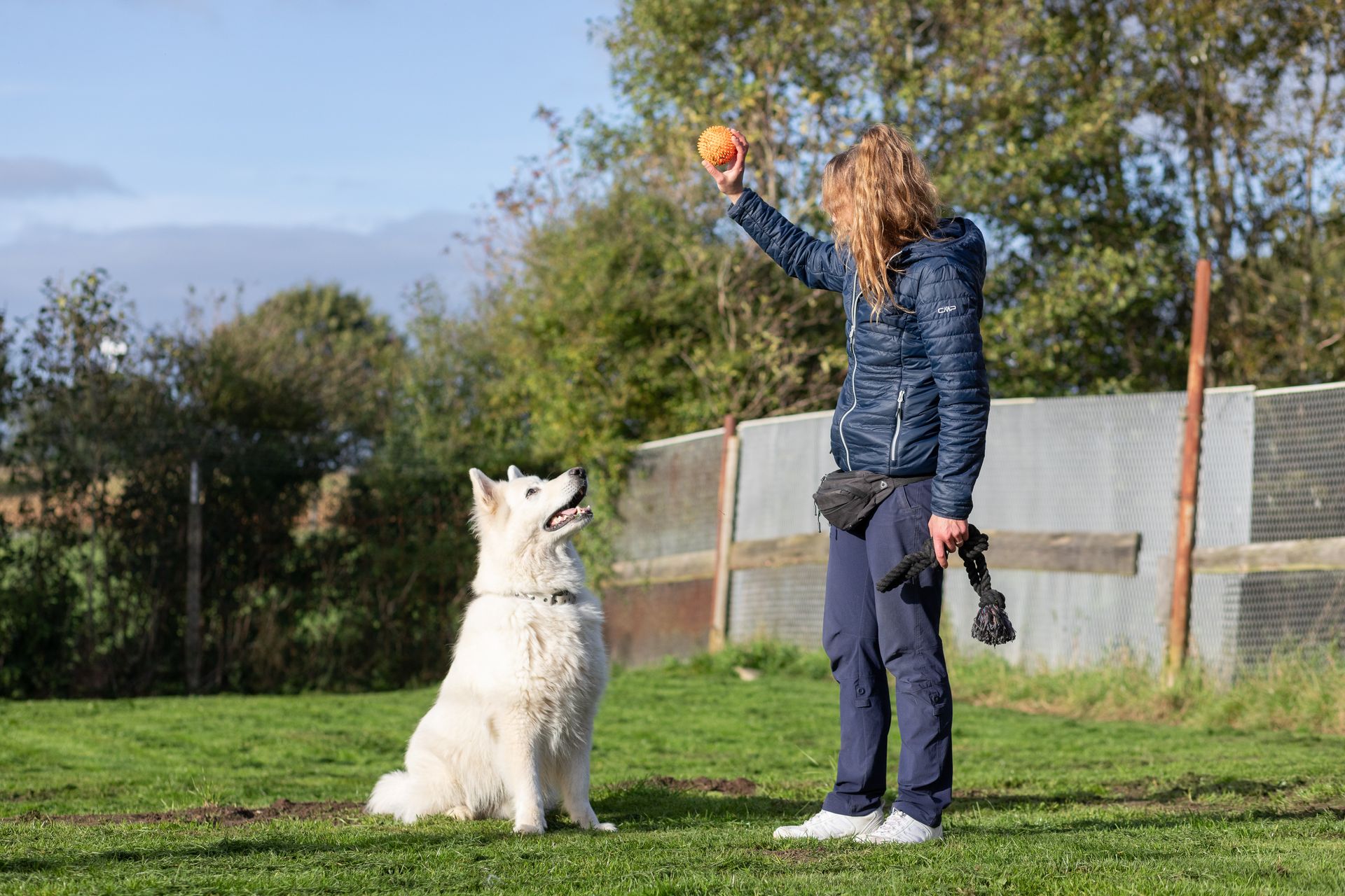Hunde- und Katzenparadies Winzer in Süderbrarup Leistungen 18