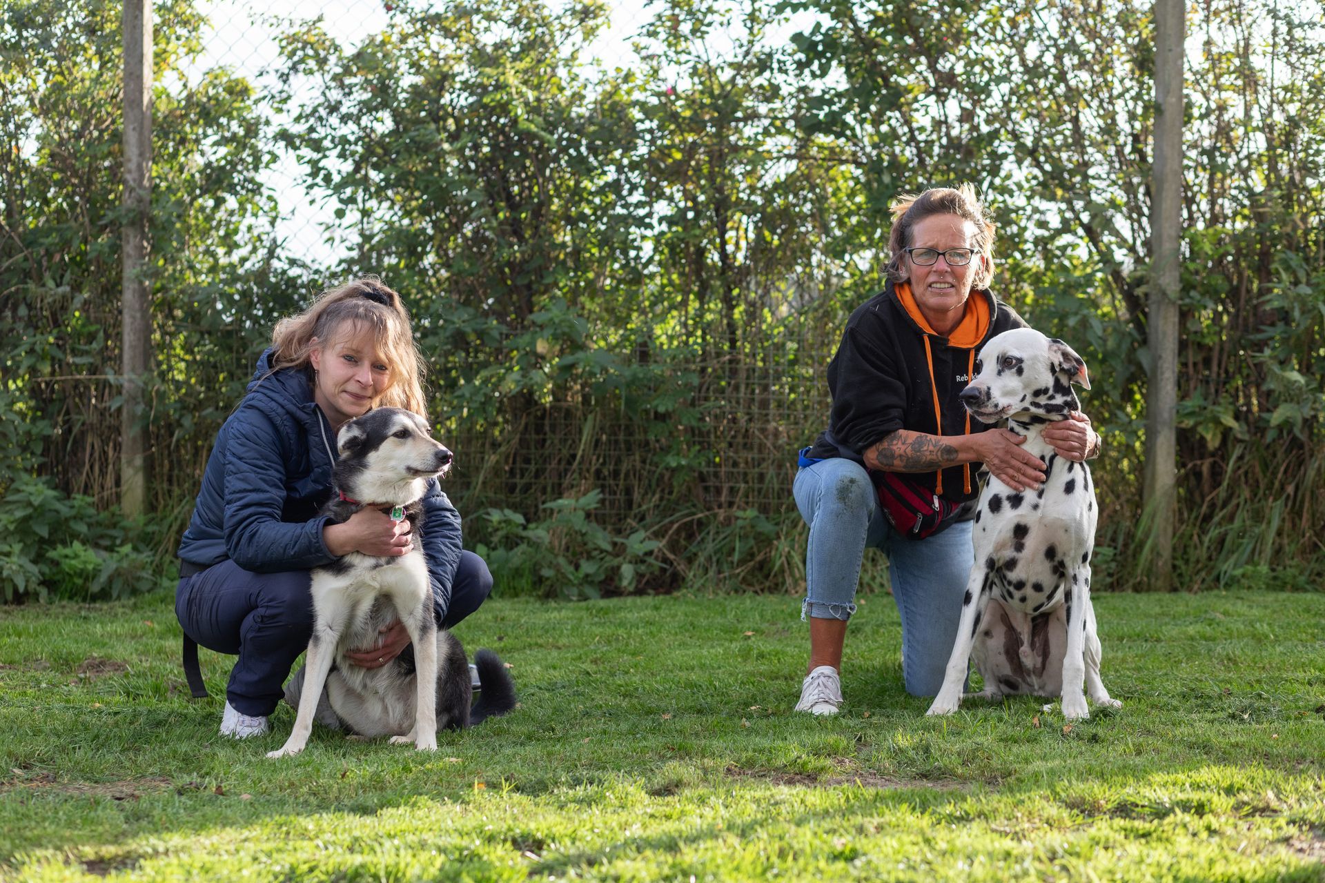 Hunde- und Katzenparadies Winzer in Süderbrarup Leistungen 16