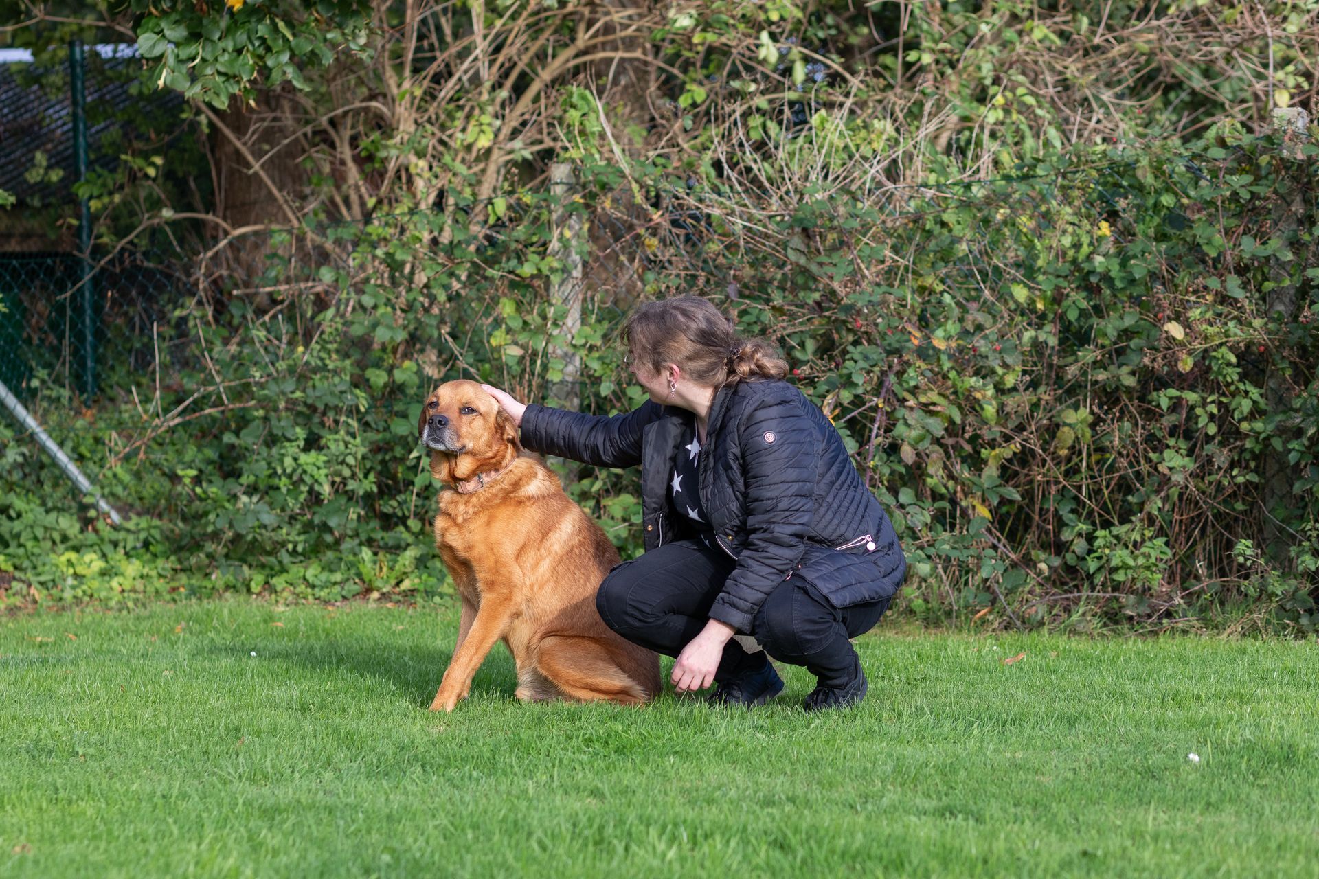 Hunde- und Katzenparadies Winzer in Süderbrarup Titel 01