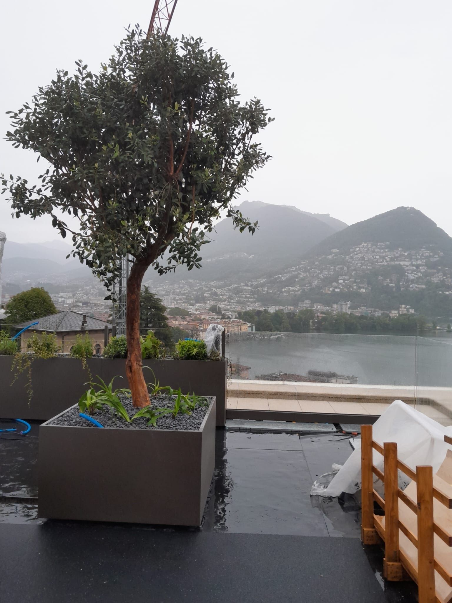 Palazzina con alberi