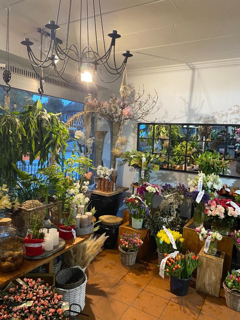 Bild Blumenladen innen mit vielen Töpfen und Pflanzen