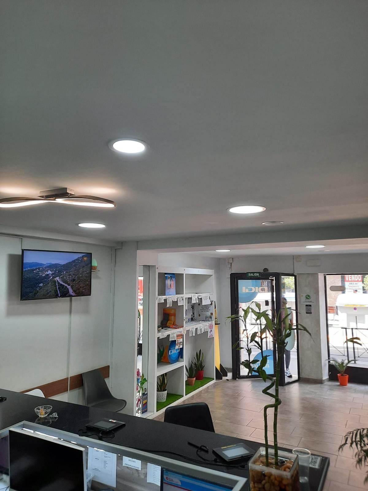 Una sala de estar con una mesa, sillas, un televisor y una planta.