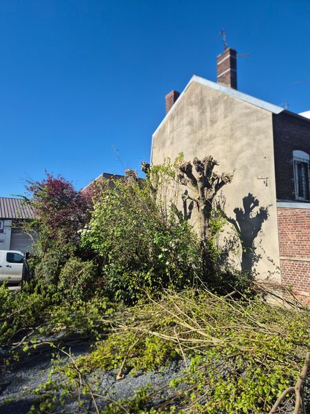 Des arbustes envahissants et un arbre à côté d’une maison au mur de briques.