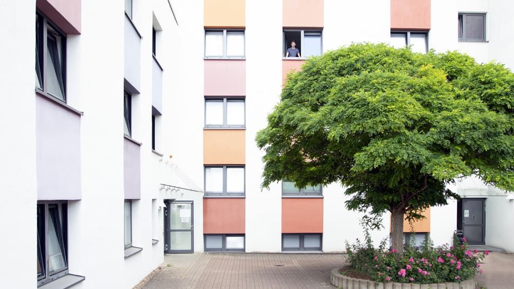 Ein Baum steht in der Mitte eines Hofes vor einem Gebäude.