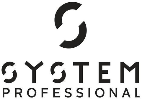 System Professional-Logo mit schwarzem, stilisiertem „S“-Symbol und Text auf weißem Hintergrund