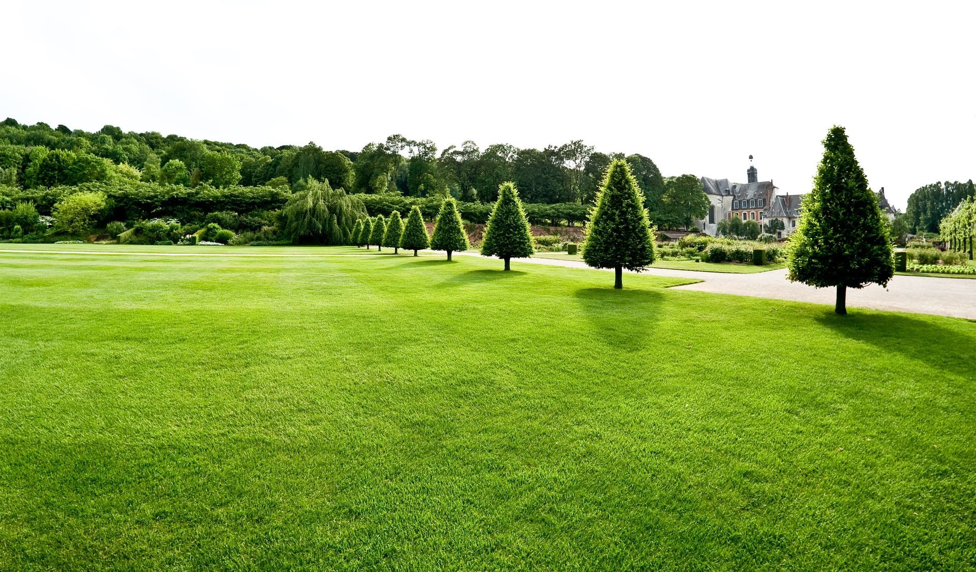 Un grand parc tondu