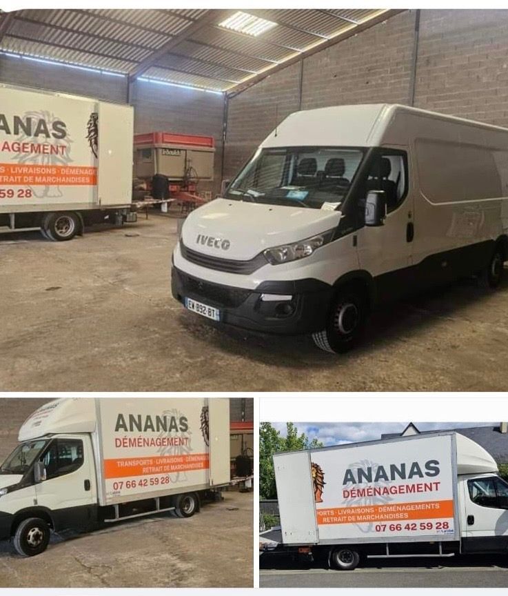 Plusieurs véhicules de déménagement