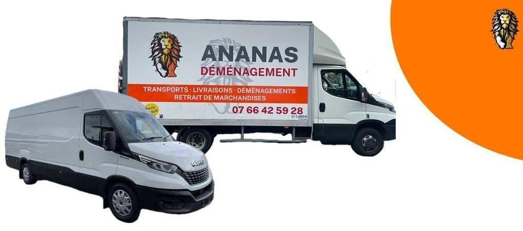 Logo d'ANANAS DÉMÉNAGEMENT