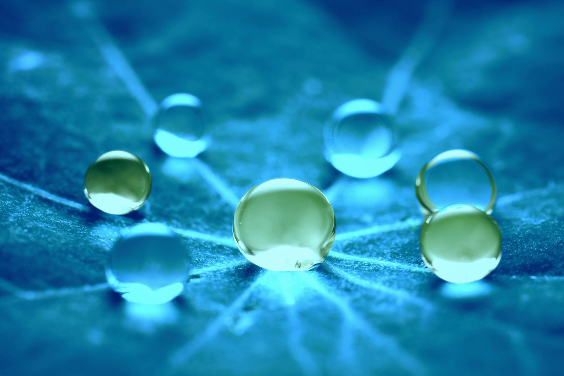 Eine Nahaufnahme von Wassertropfen auf einem blauen Blatt.