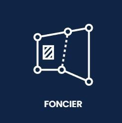 Pictogramme Bornage foncier
