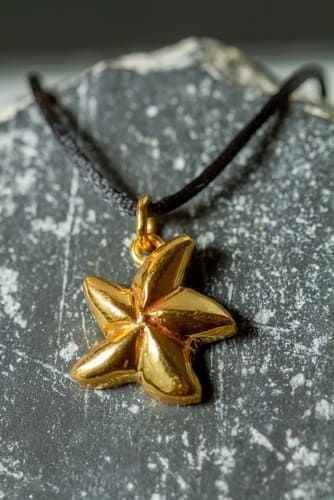 Un primer plano de un colgante de estrella de mar de oro en un collar sobre una roca.
