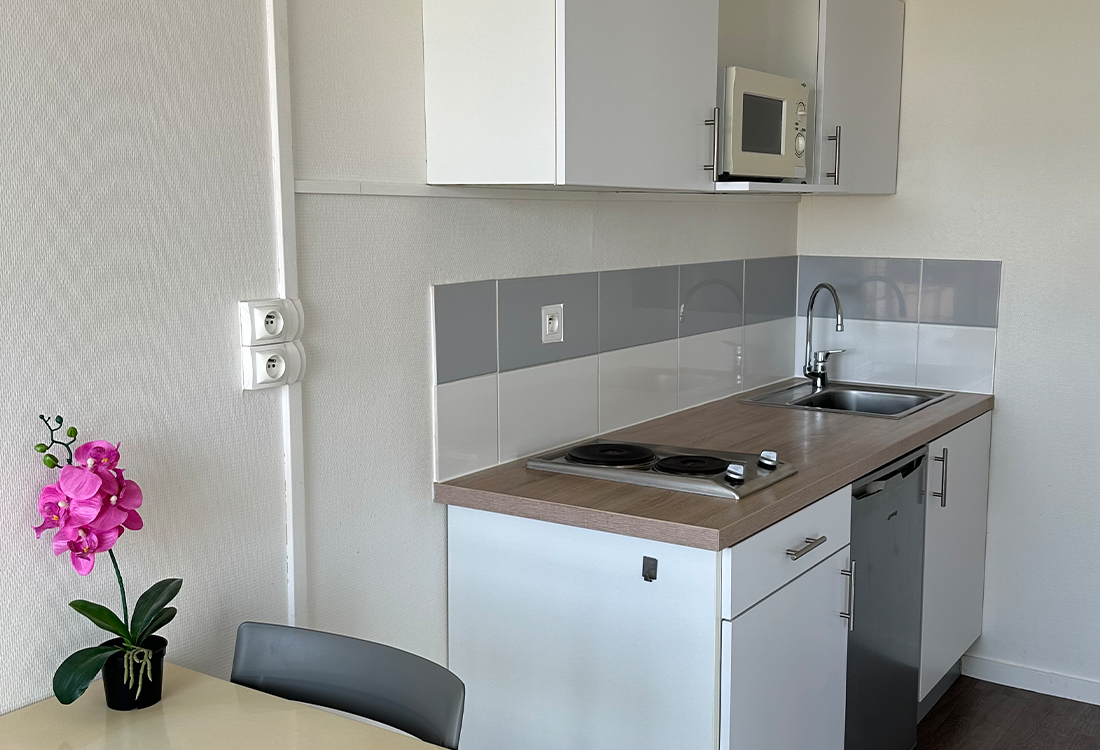 cuisine avec placards, plaques de cuisson, réfrigérateur et micro-onde