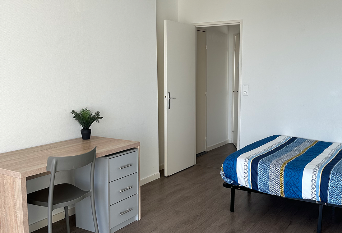 vue sur pièce à vivre de bureau avec plante et lit