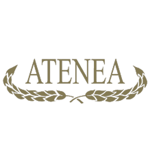 logotipo cabecera