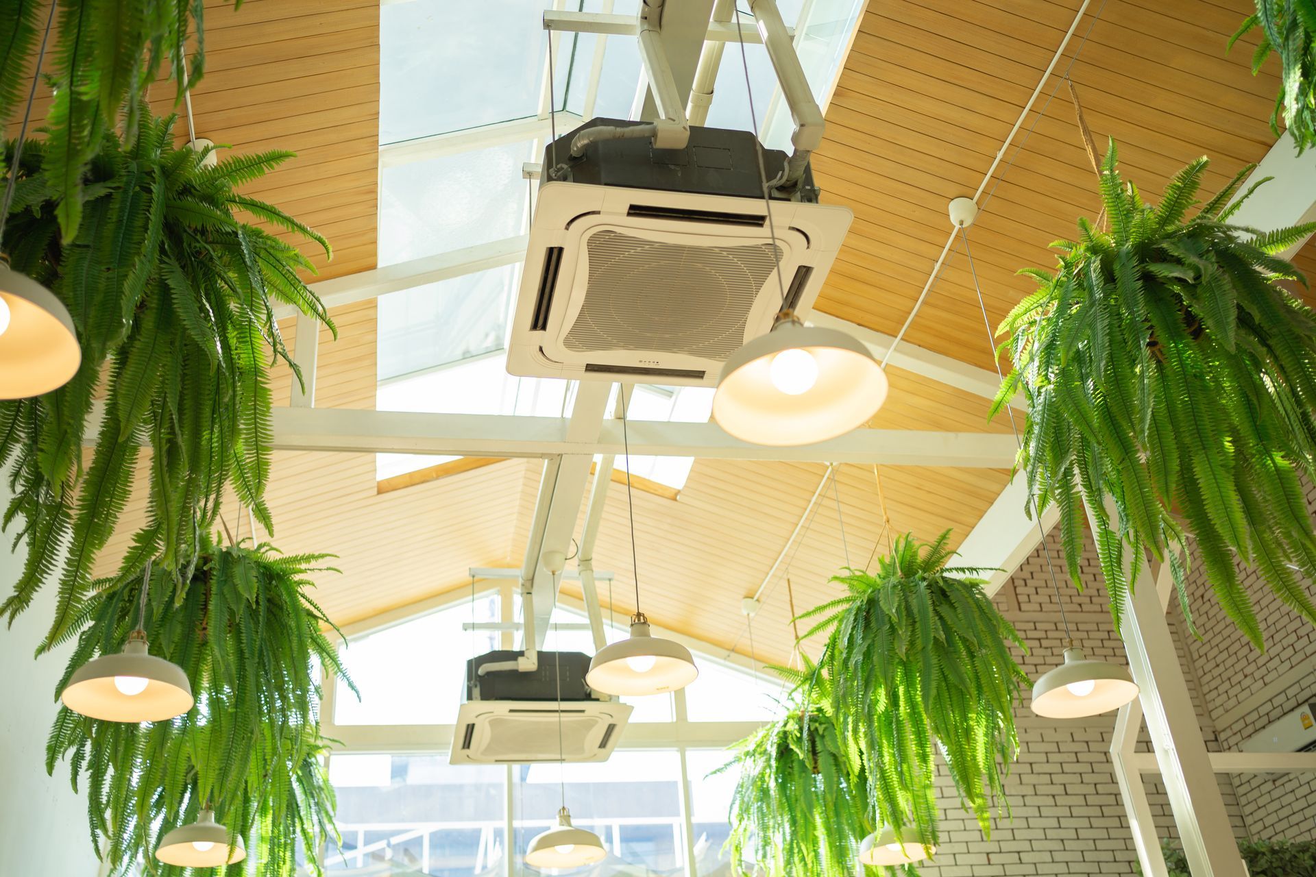 Des fougères suspendues et des luminaires suspendus à un plafond à cadre blanc avec des unités de climatisation carrées.