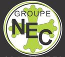 Logo de l'entreprise Groupe Nec
