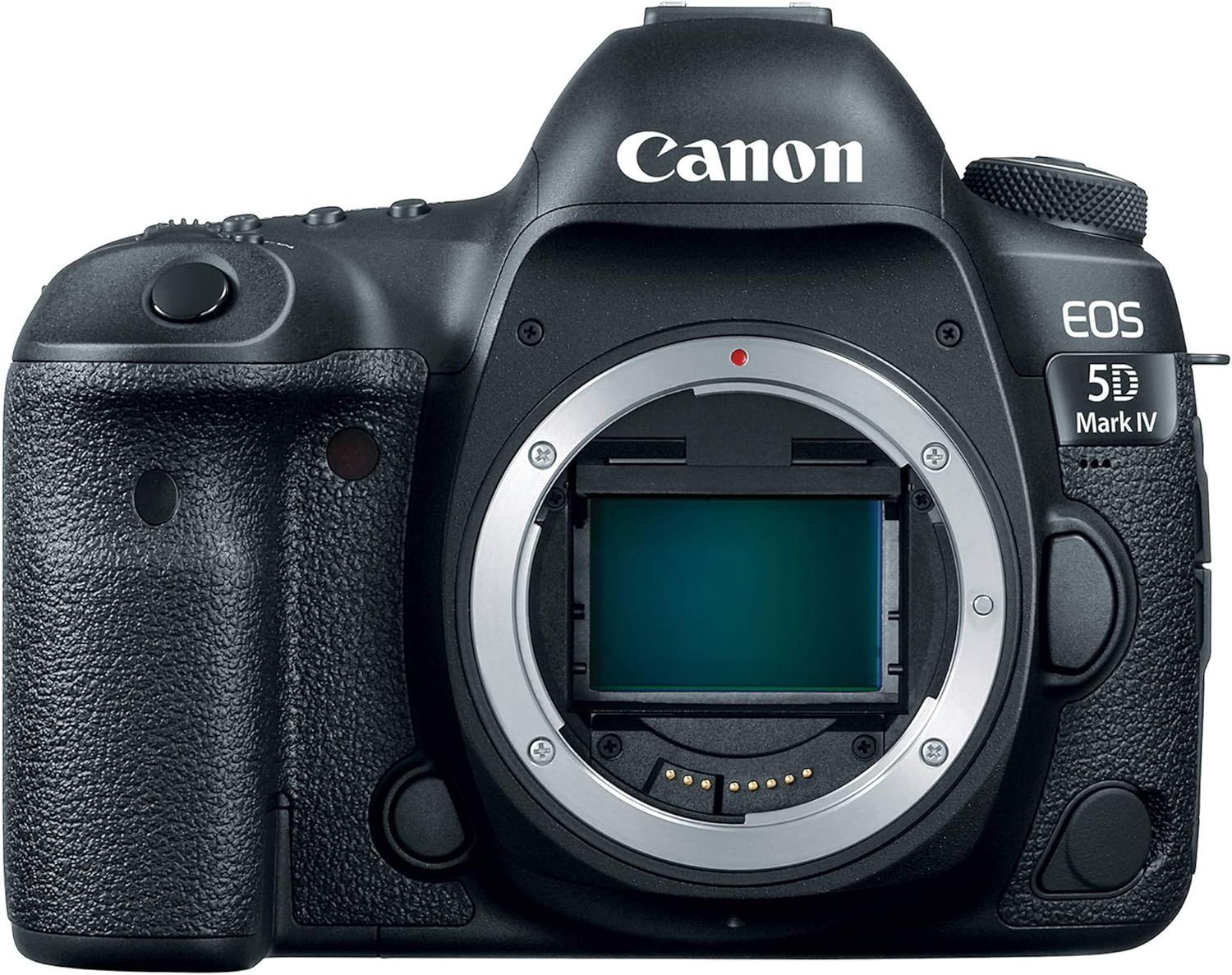 Canon 5D Mark IV im Einsatz – mein Erfahrungsbericht