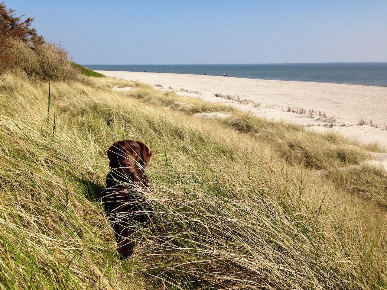 Nordseeimmobilien Koffka eGbR