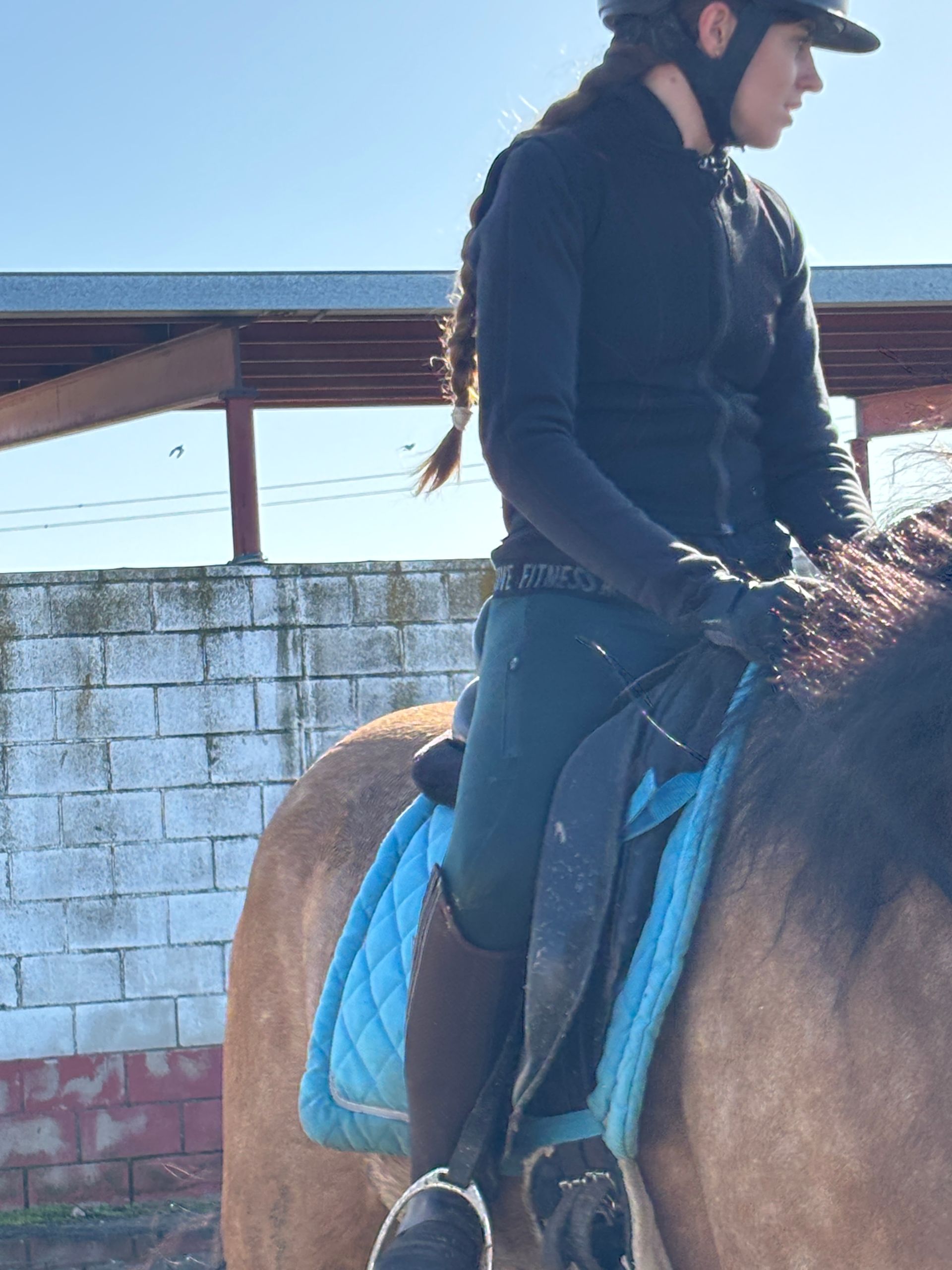 Jinete a caballo marrón con una mantilla azul, vestido con ropa negra en una pista al aire libre