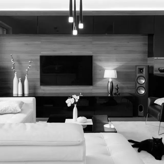 Una foto en blanco y negro de una sala de estar con un gato en el sofá.