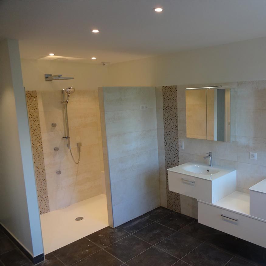 Salle de bains moderne avec douche carrelée, sol foncé et meuble-lavabo blanc avec miroir.