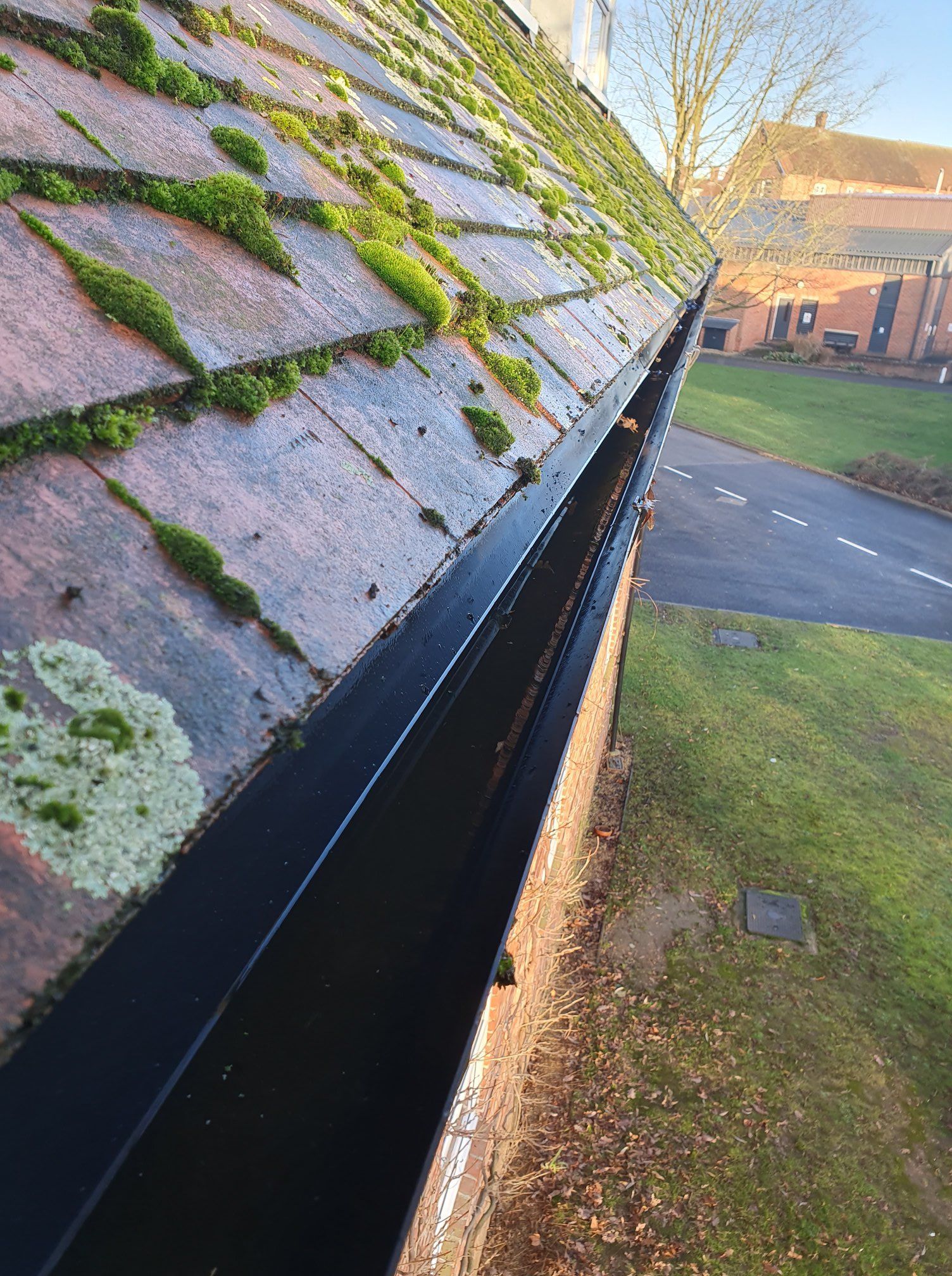 Close-up of a mossy shingle roof edge with a black gutter above a building and lawn below.