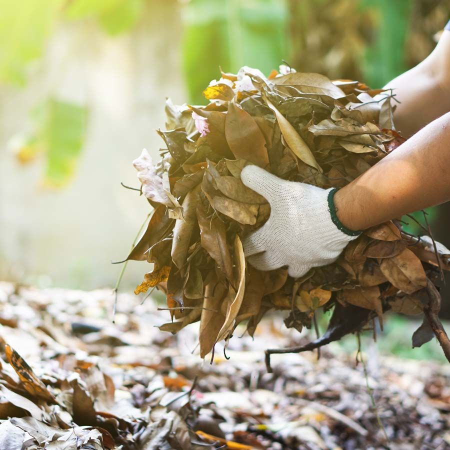 Ramassage de feuilles en automne