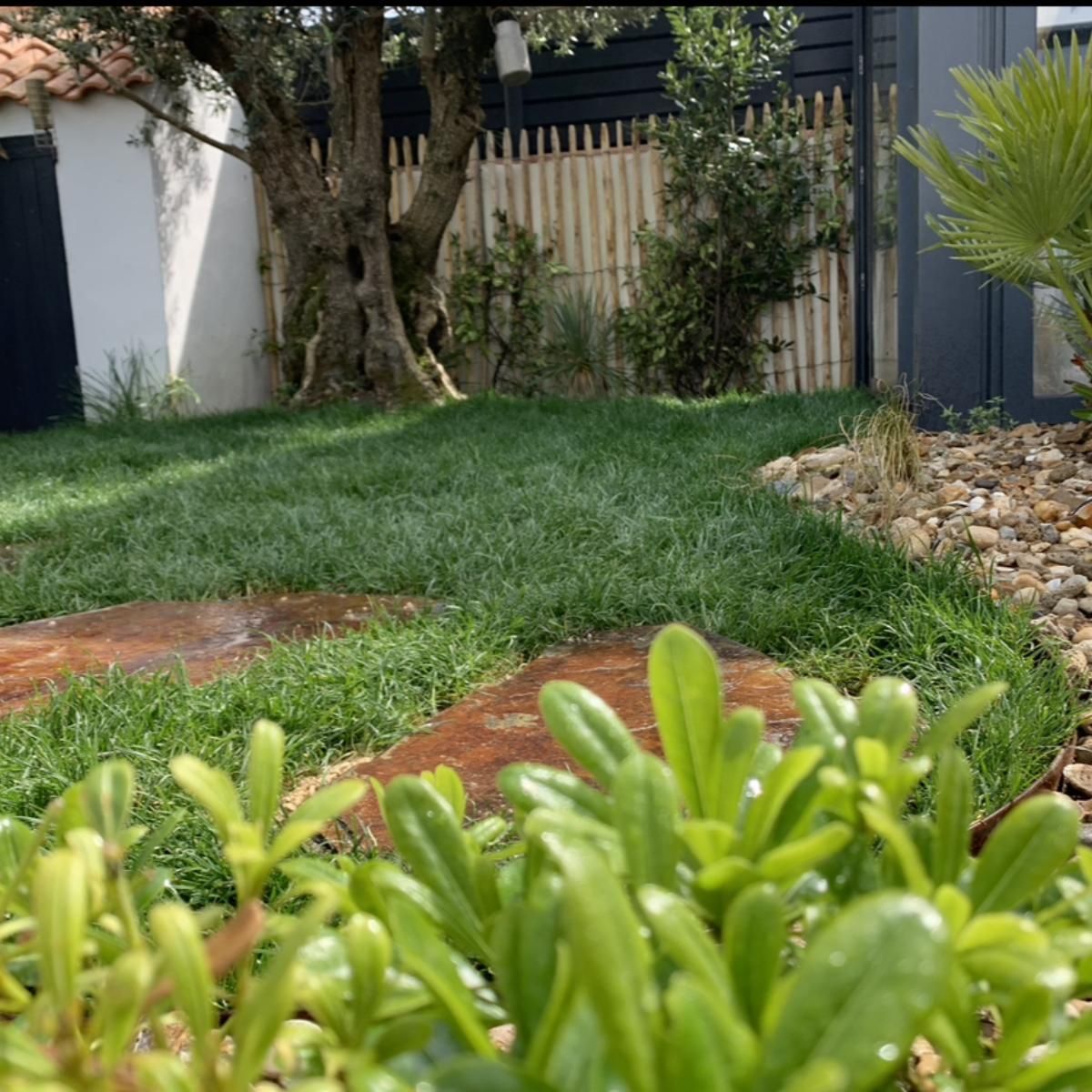 Café en plein air avec tables, chaises et arbres ; grande structure blanche en arrière-plan, montagnes sous ciel bleu.