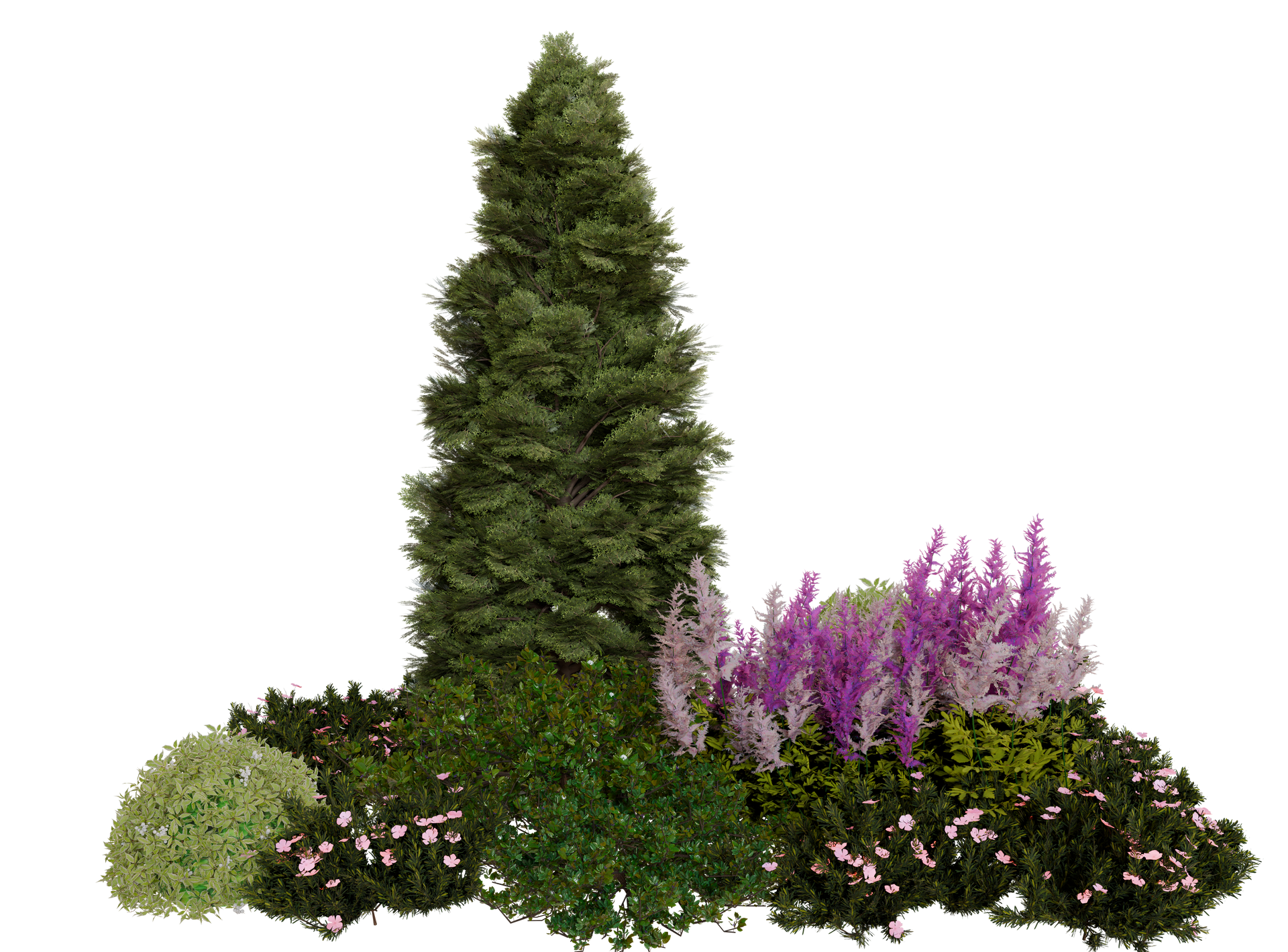 Parterre de jardin avec grand arbre à feuilles persistantes, fleurs violettes et roses et buissons verts.