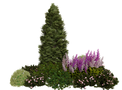 Parterre de jardin avec grand arbre à feuilles persistantes, fleurs violettes et roses et buissons verts.