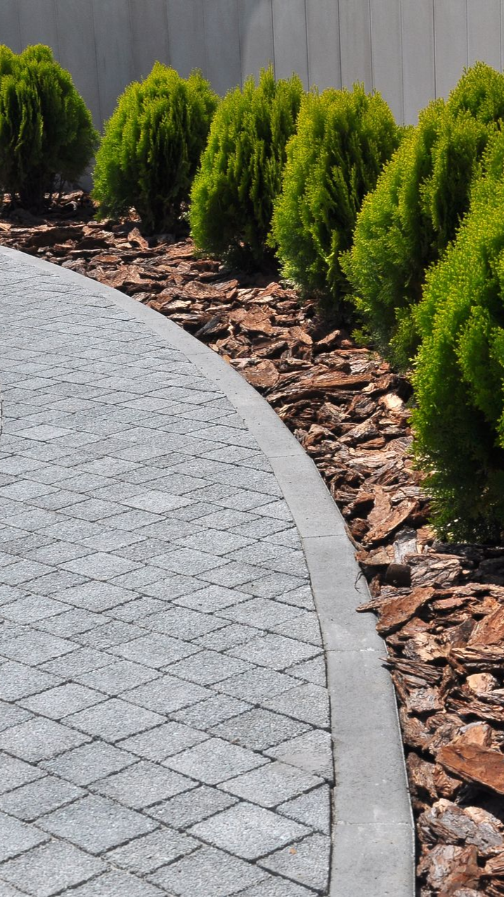 Allée courbée en pierre grise bordée d'arbustes verts et de paillis brun.