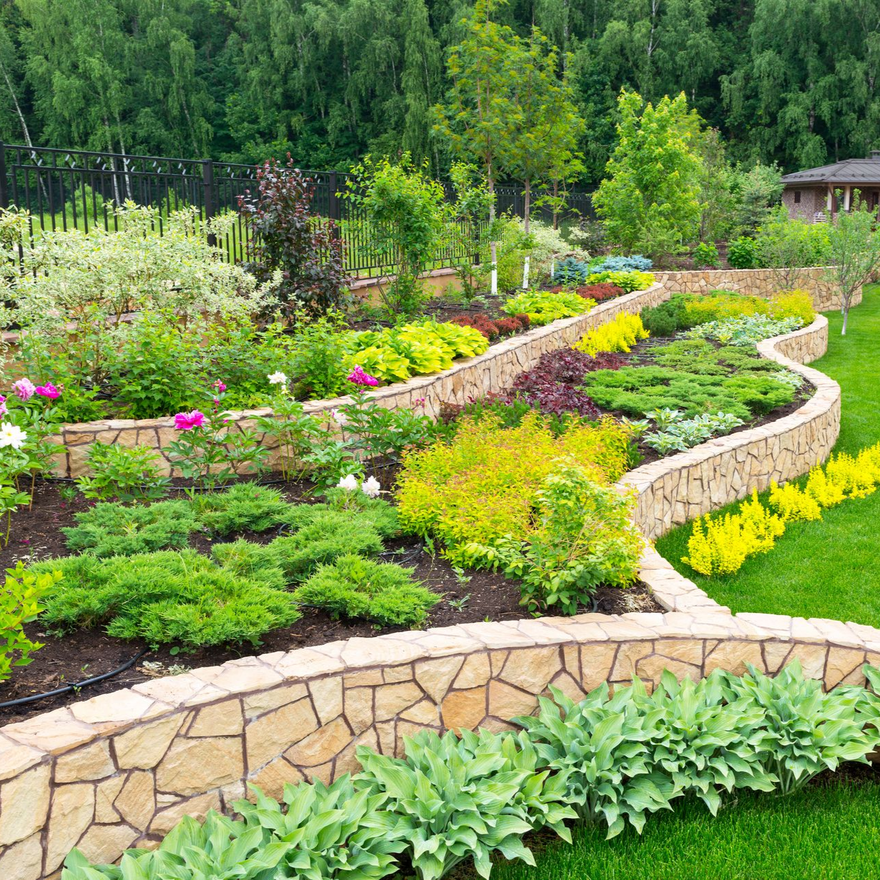 Jardin en terrasses entouré de murs en pierre débordant de plantes colorées, sur une colline herbeuse, avec des arbres en arrière-plan.