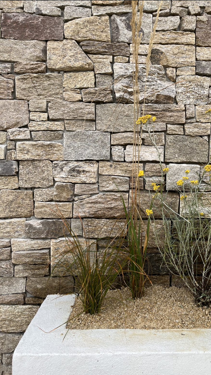 Mur en pierre aux teintes beiges et grises, jardinière avec plantes et petites fleurs jaunes.