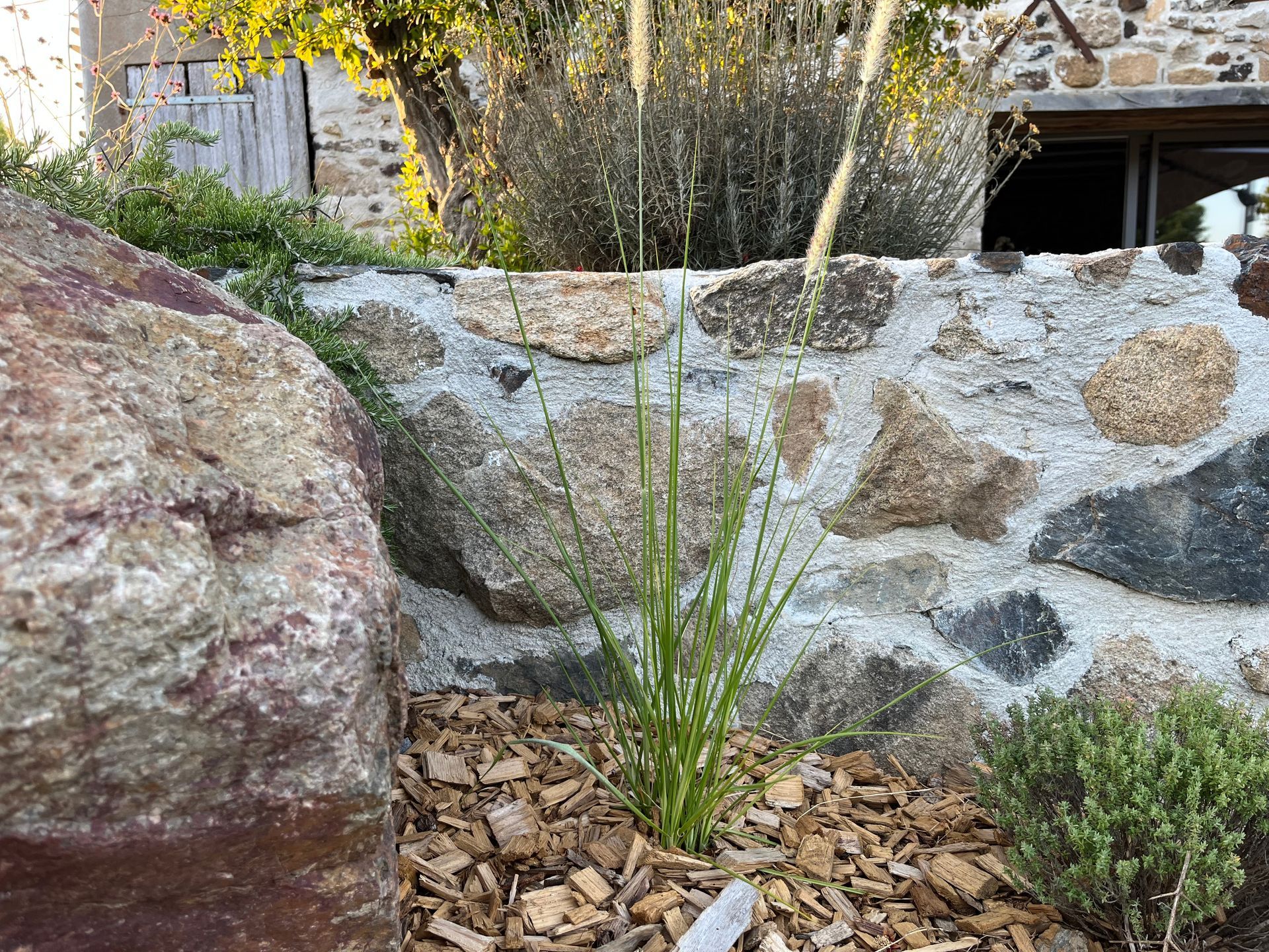 Mur de pierre avec plantes et copeaux de bois dans un jardin.