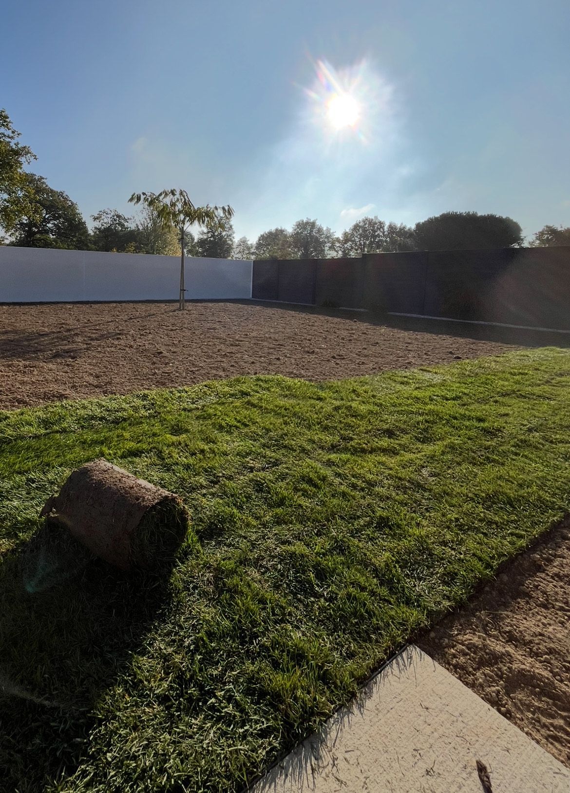 Piscine sous un ciel nuageux avec un palmier et une clôture en bois.