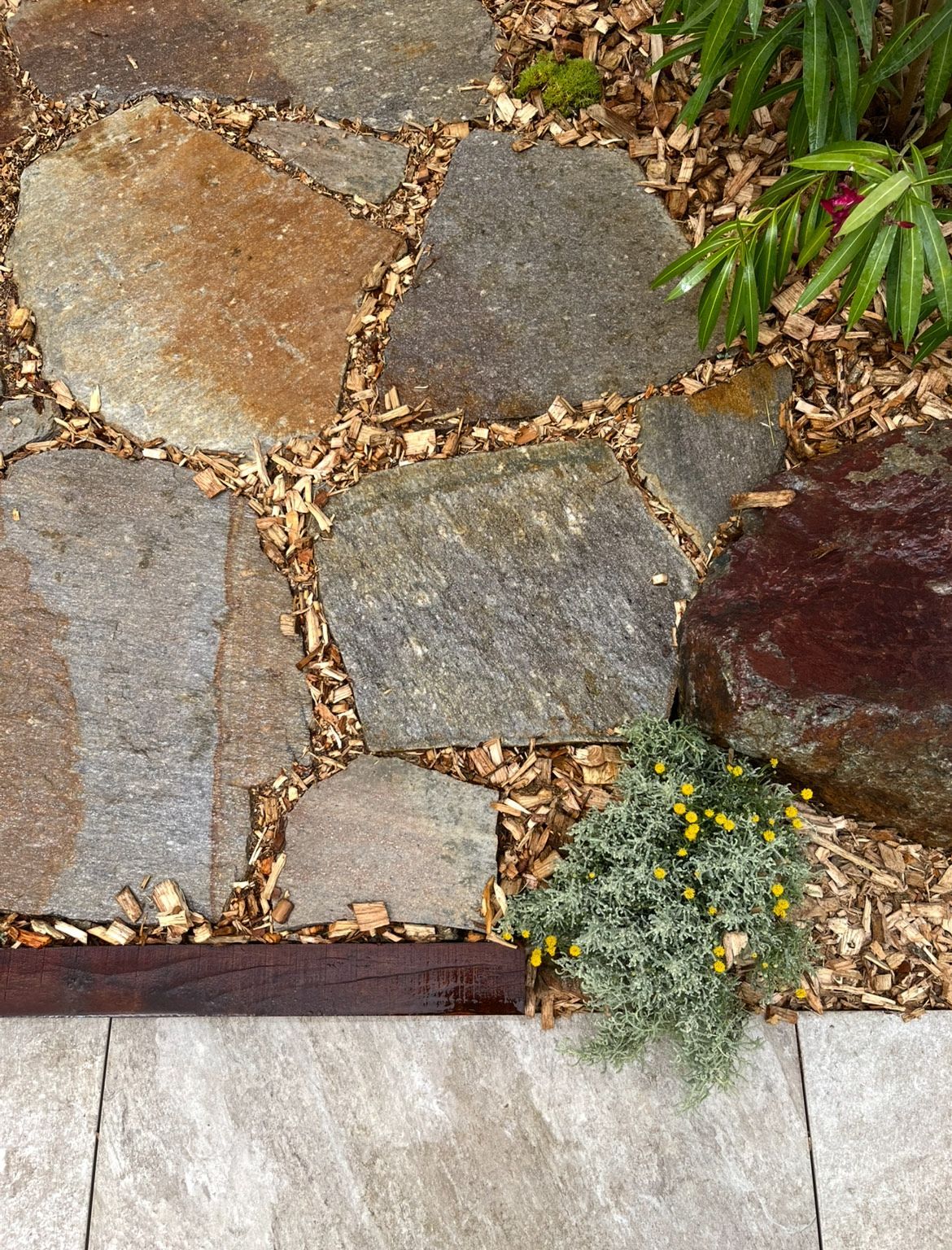 Piscine avec palmier sous un ciel nuageux ; cadre arrière.