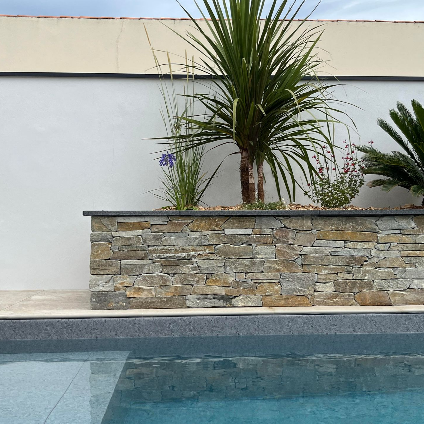 Jardinière en pierre avec plantes tropicales et piscine devant un mur blanc.
