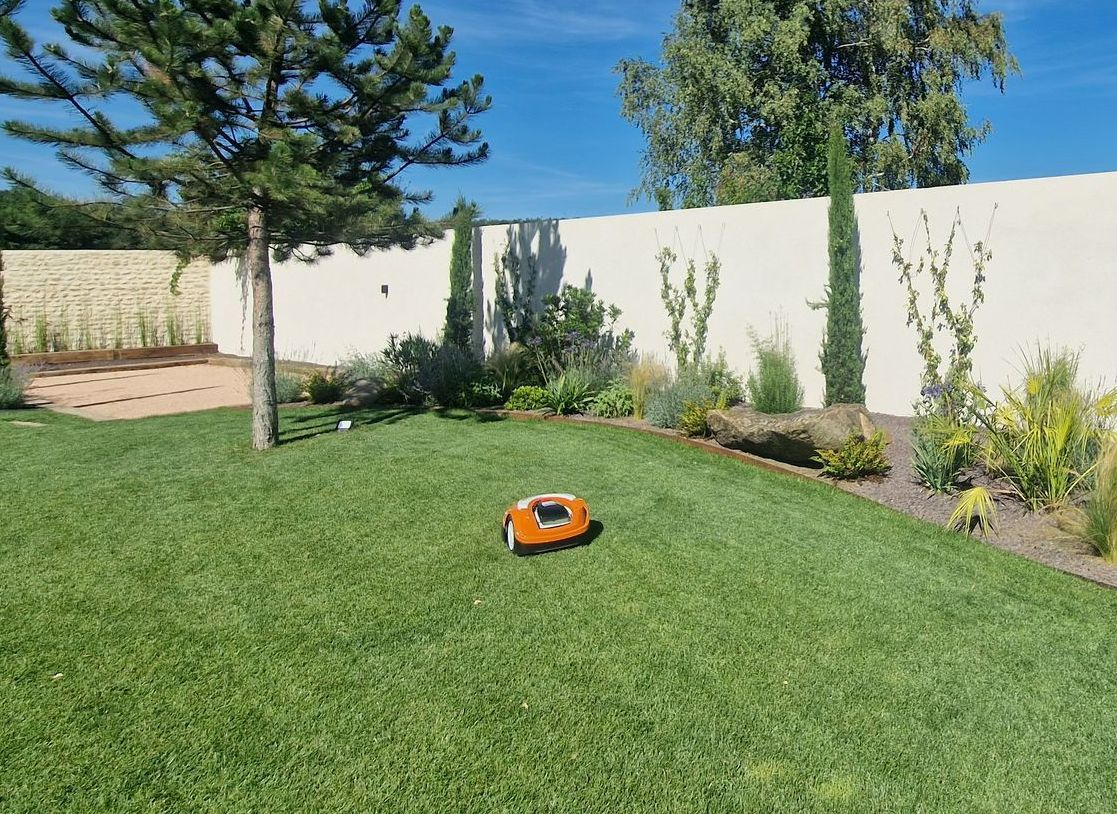 Robot tondeuse sur une pelouse