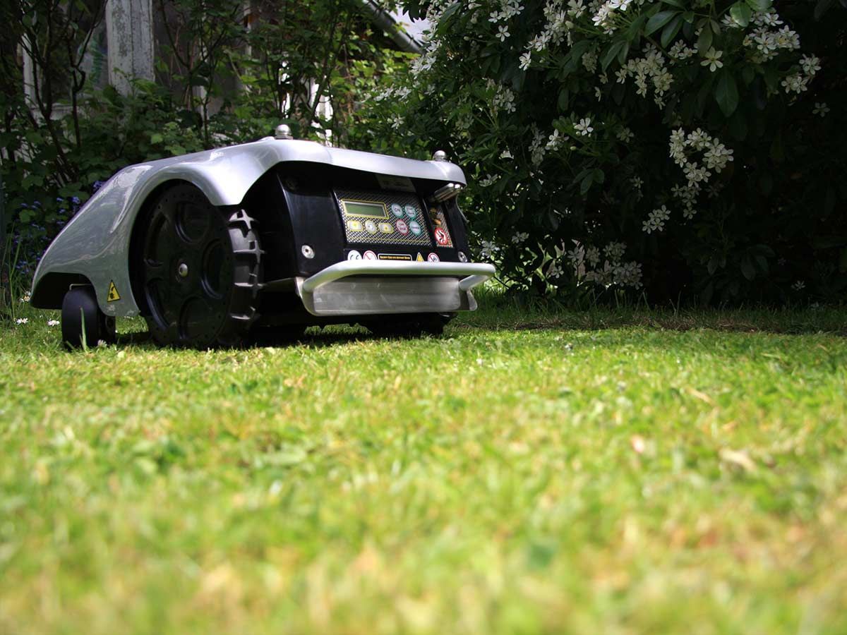 Robot tondeuse dans un jardin avec une pelouse