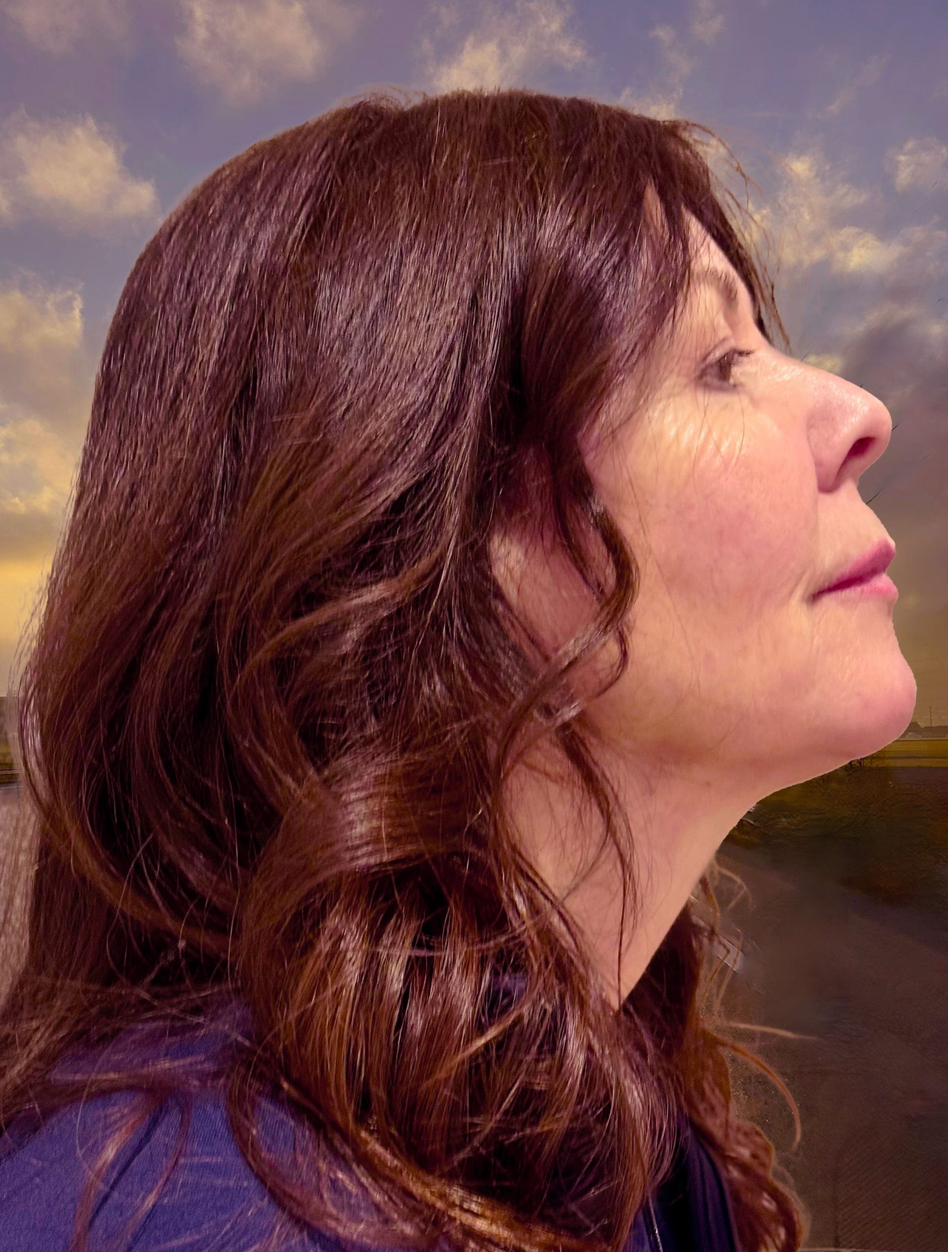 Brigitte Lüthi Guida