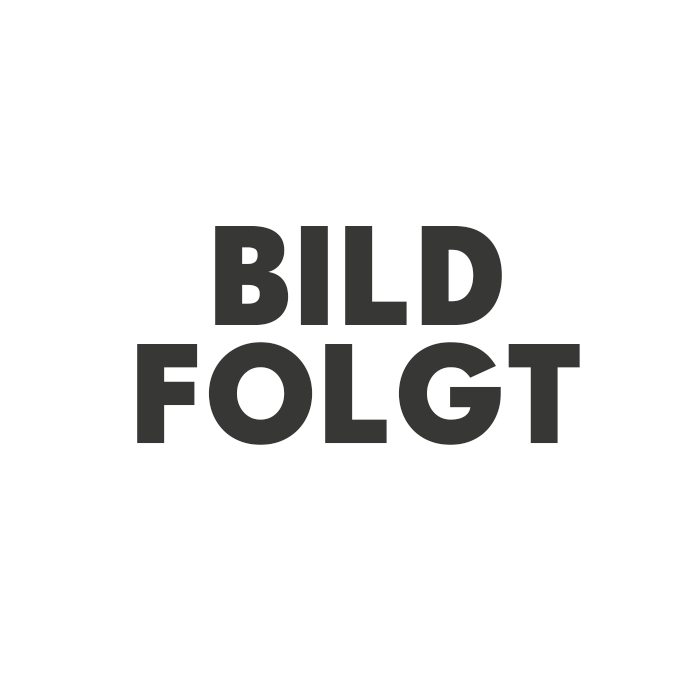Eine Nahaufnahme eines Hundes mit offenem Maul